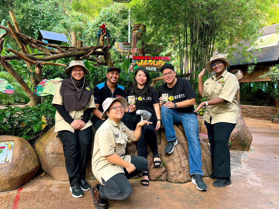 From Wildlife to Wonder: The Zoo-Themed Card Game Co-Created with Sunway Theme Parks