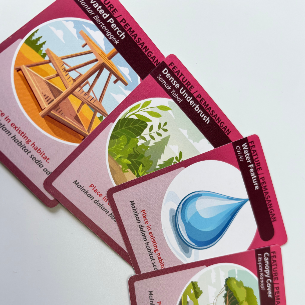 [NEW IN] Wonders of the Wild - A Bilingual Zoo Card Game