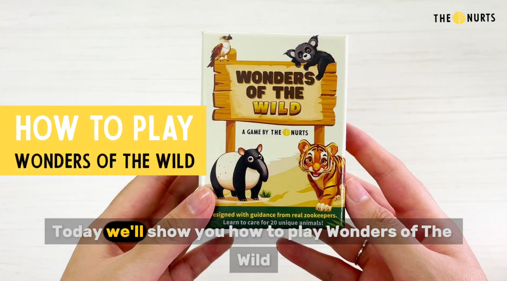 Load video: How to play Wonders of the Wild card game